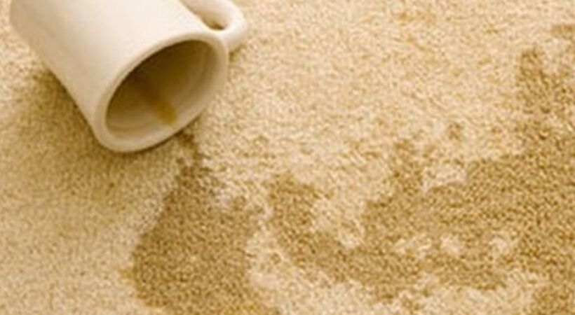 Prochem launches regional stain removal surgeries
