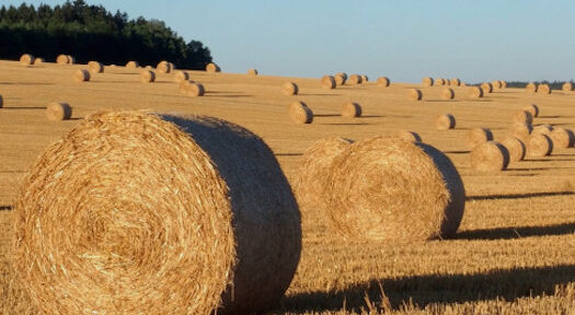 Essity invests in sustainable fibre technology