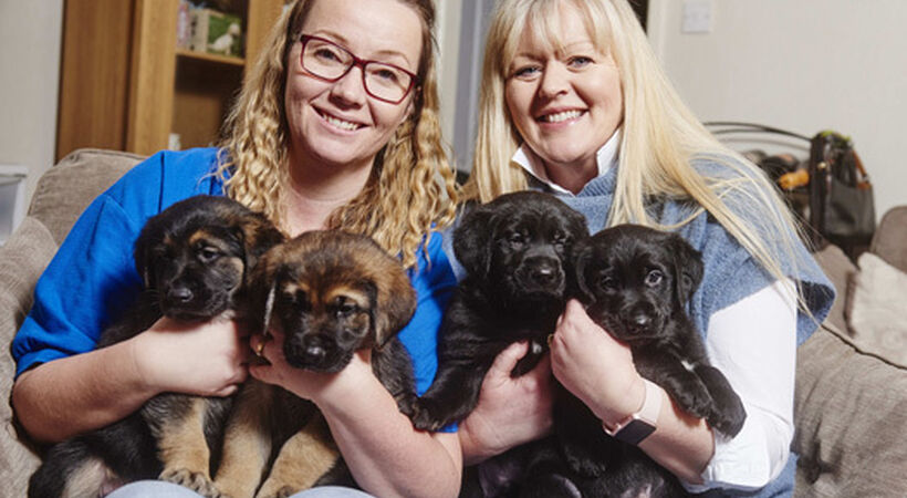Melton Support Services backs guide dog puppy training