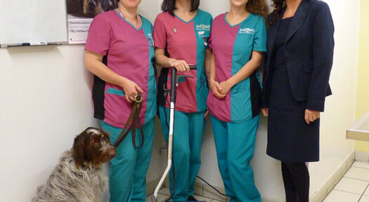 PDSA ensures cleanliness with machine contract
