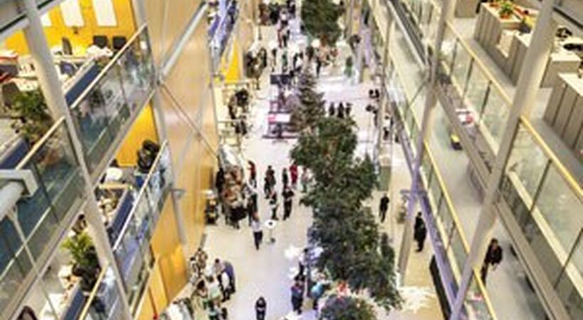 Historic Wellcome for Principle