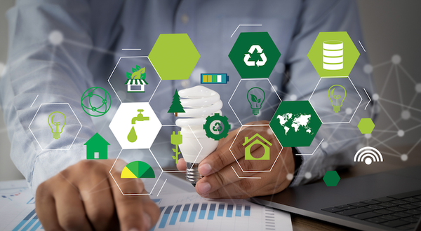 Ecoserv creates dedicated sustainability team