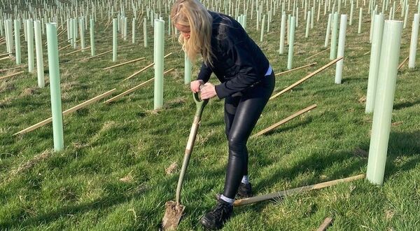 Supporting the ‘Tree in a Million’ initiative