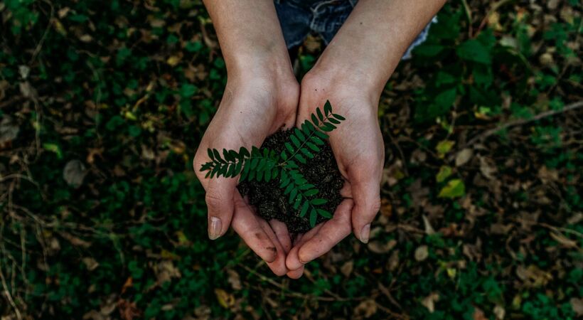 Environmental sustainability is complex.