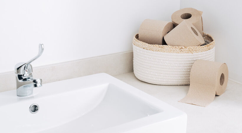 Recycled cardboard hygiene papers launched