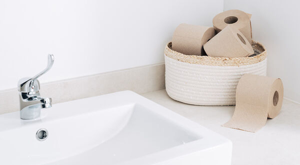 Recycled cardboard hygiene papers launched