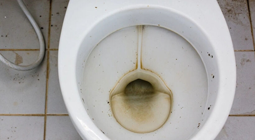 Smelly toilets flushing away British business profits