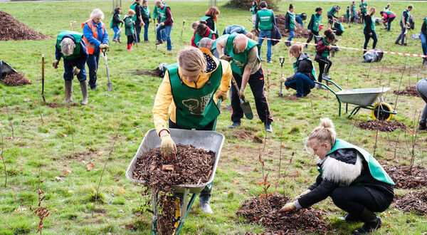 Northwood tree planting campaign reaches new milestone