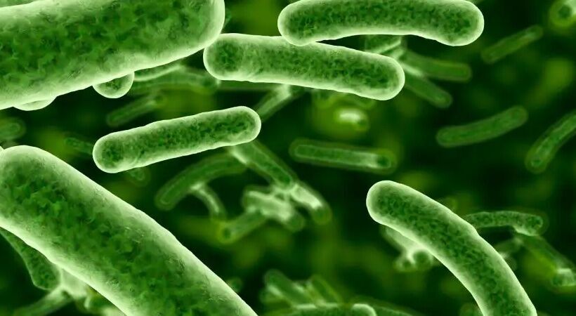 Is it time for a significant change in our attitudes towards testing of surfaces and skin in our healthcare facilities?